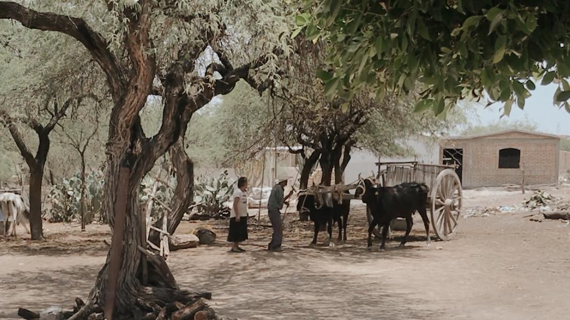 Chencho's Cover Photo of man and woman farming